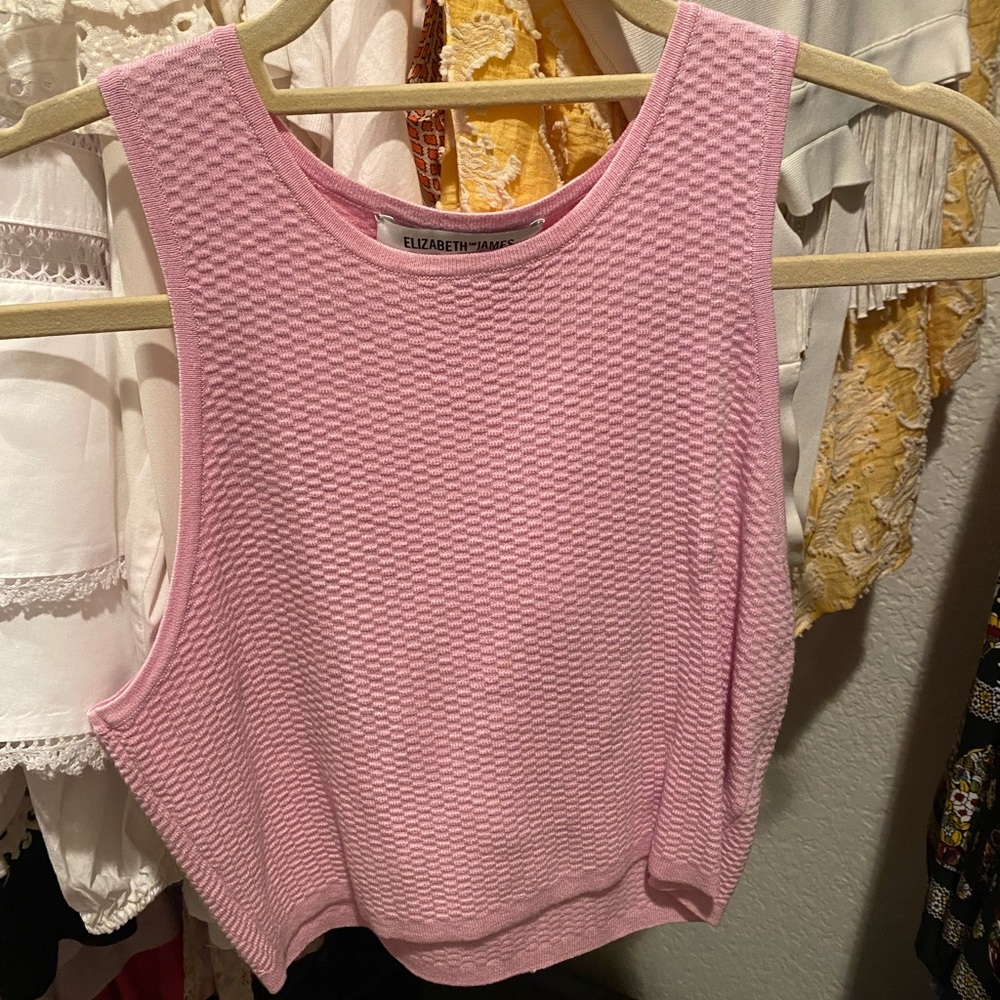 Elizabeth and James Pink Crop Top